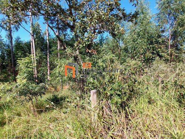 #23512 - Terreno para Venda em Lagoa Santa - MG - 3