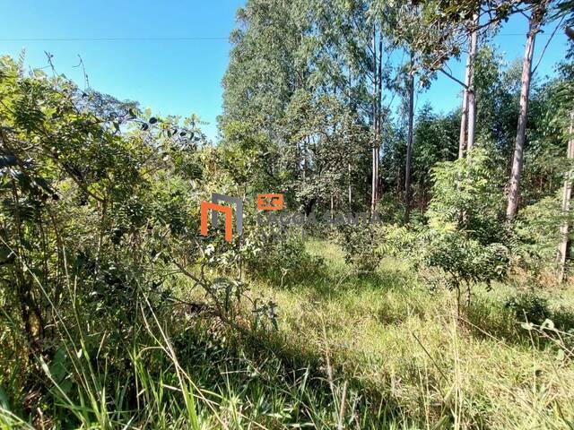 #23512 - Terreno para Venda em Lagoa Santa - MG - 2