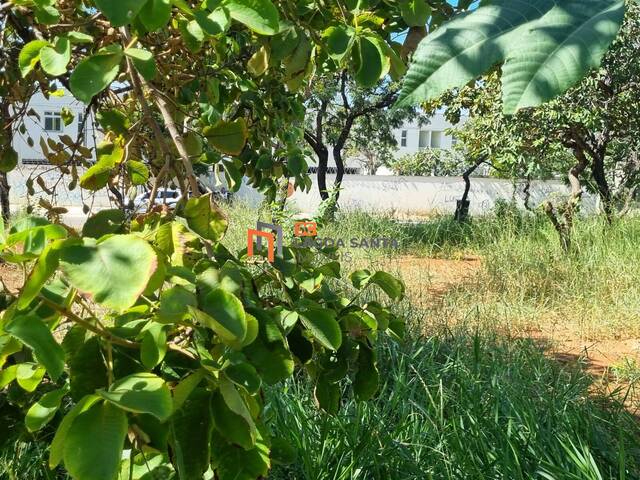 Lote para Venda em Lagoa Santa - 4