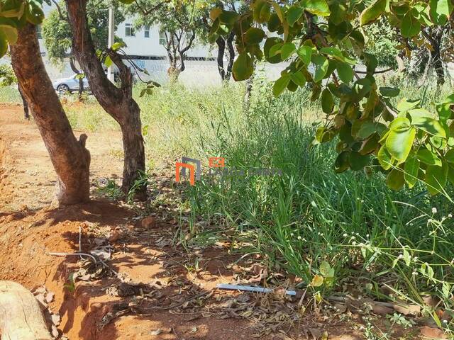 Lote para Venda em Lagoa Santa - 5