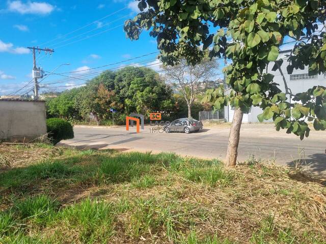 Lote para Venda em Lagoa Santa - 5