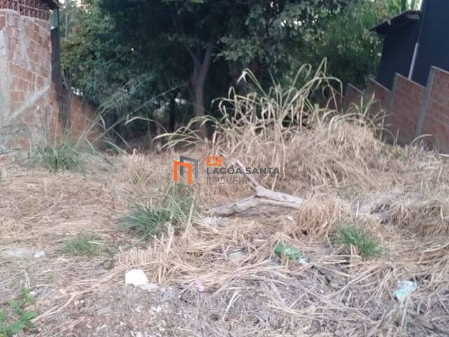 Lote para Venda em Lagoa Santa - 4