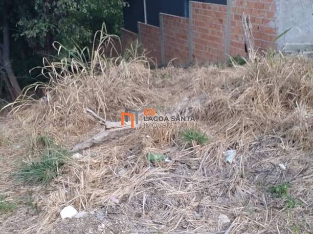 Lote para Venda em Lagoa Santa - 5