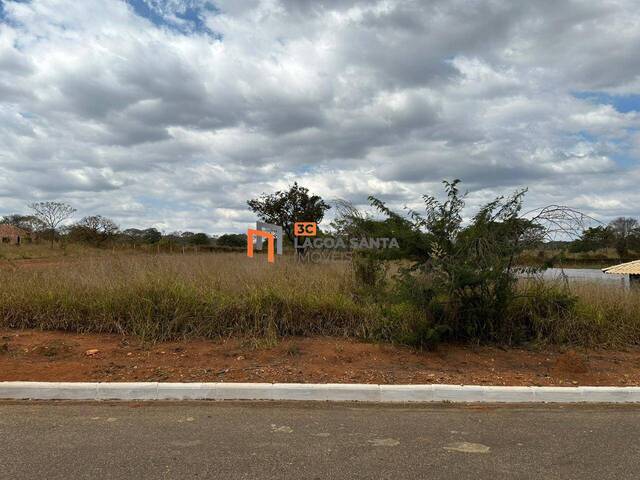 Lote para Venda em Jequitibá - 5