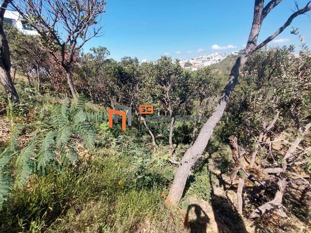 #250514 - Lote em Condomínio para Venda em Lagoa Santa - MG - 3