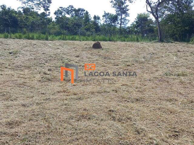 Venda em Gran royalle - Lagoa Santa