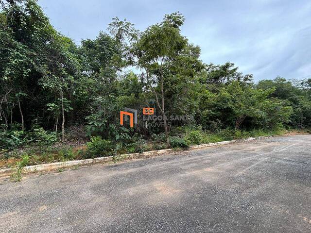 #250606 - Lote para Venda em Jaboticatubas - MG - 3