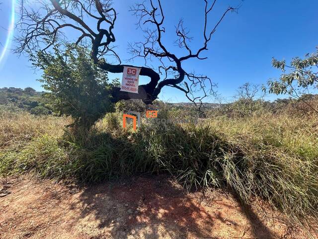 #250700 - Lote para Venda em Lagoa Santa - MG - 1