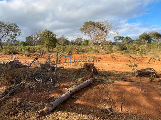 Fazenda para Venda em Baldim - 4
