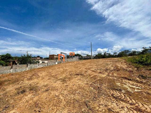 #250806 - Lote para Venda em Lagoa Santa - MG - 3