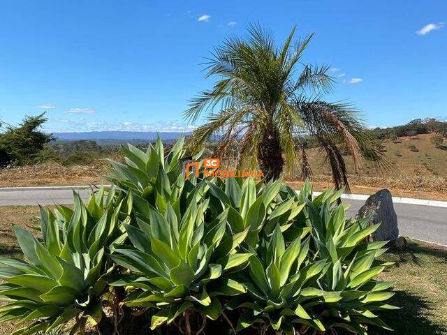 #251012 - Lote em Condomínio para Venda em Lagoa Santa - MG - 3