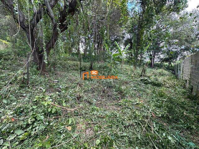 #260415 - Lote para Venda em Lagoa Santa - MG - 3