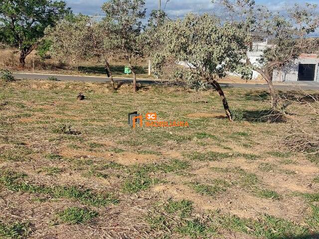#260307 - Lote para Venda em Lagoa Santa - MG - 2